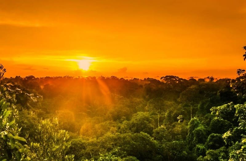 Comunidade e Meio Ambiente